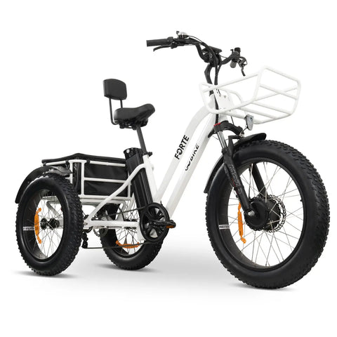 FORTE_Electric_Tricycle_1 FORTE_Electric_Tricycle_1