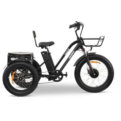 FORTE_Electric_Tricycle_6 FORTE_Electric_Tricycle_6