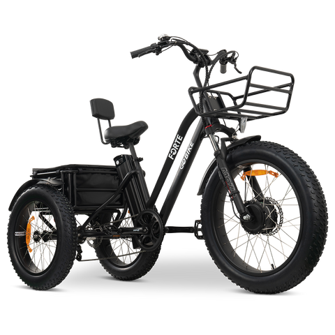 FORTE Electric Tricycle FORTE Electric Tricycle