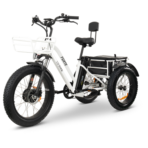 FORTE Electric Tricycle FORTE Electric Tricycle