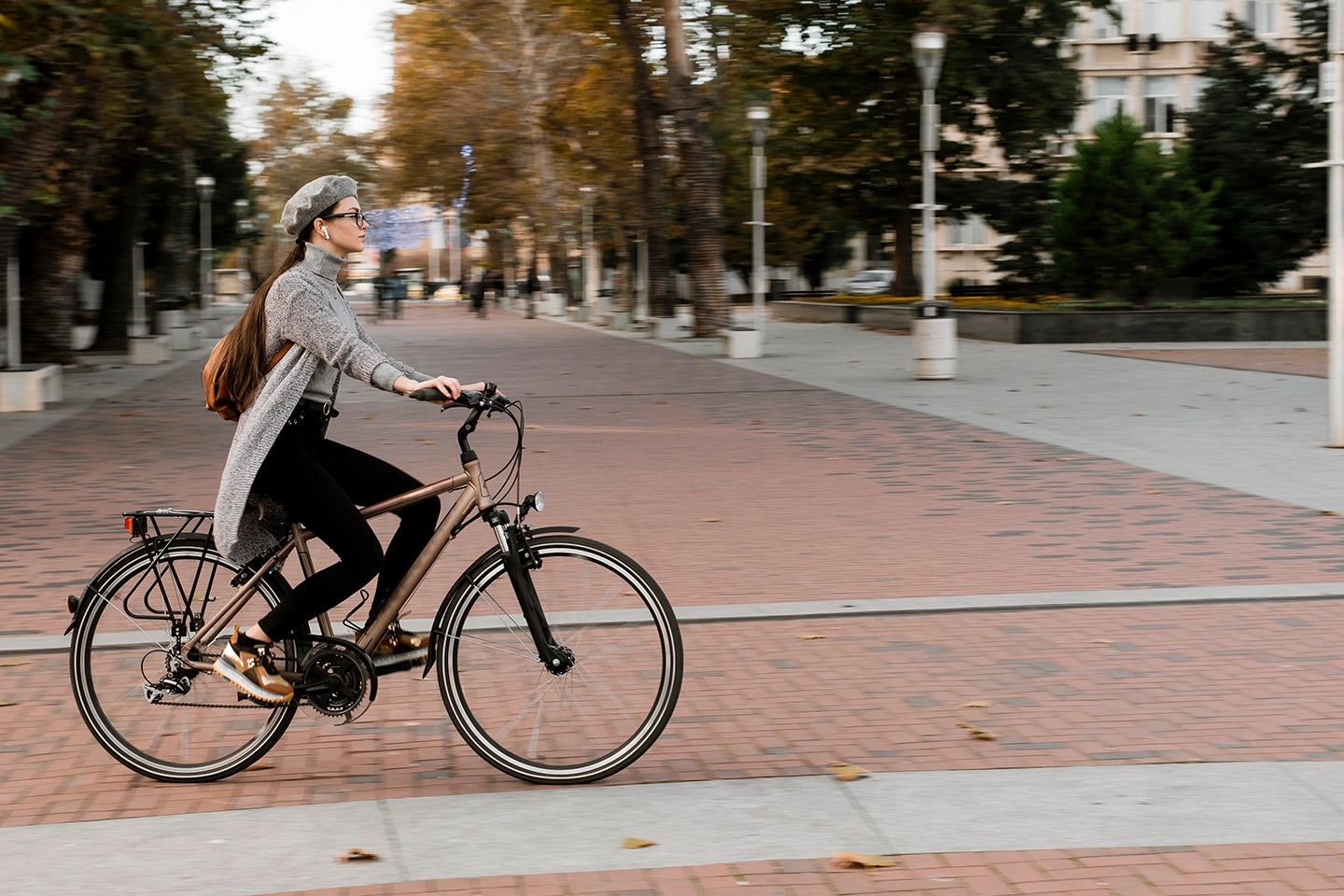 How does an Electric Bicycle Work? ElectricGOBIKE