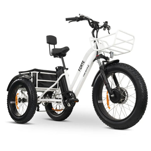 FORTE_Electric_Tricycle_1