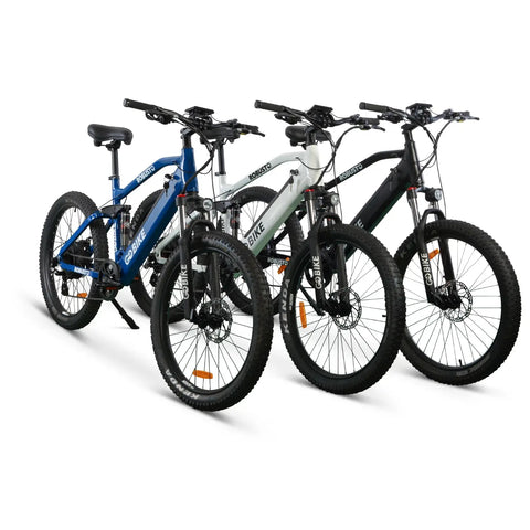 GOBIKE_ROBUSTO_PASSENGER_CARGO_ELECTRIC_BIKES_10