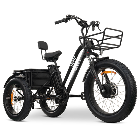 FORTE Electric Tricycle – ElectricGOBIKE